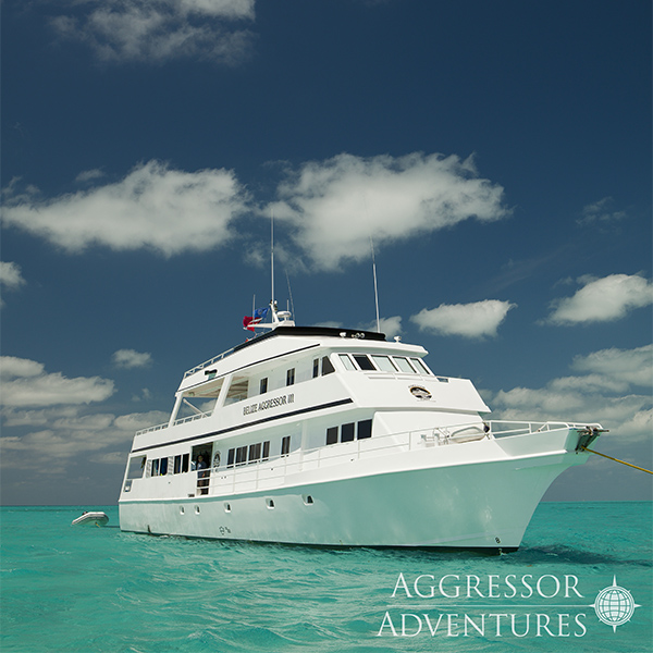 Belize Aggressor III Liveaboard