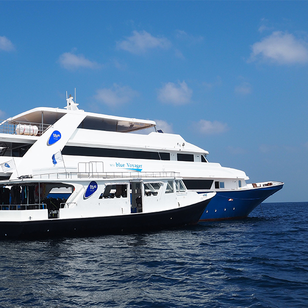 Blue Voyager Liveaboard Maldiverna