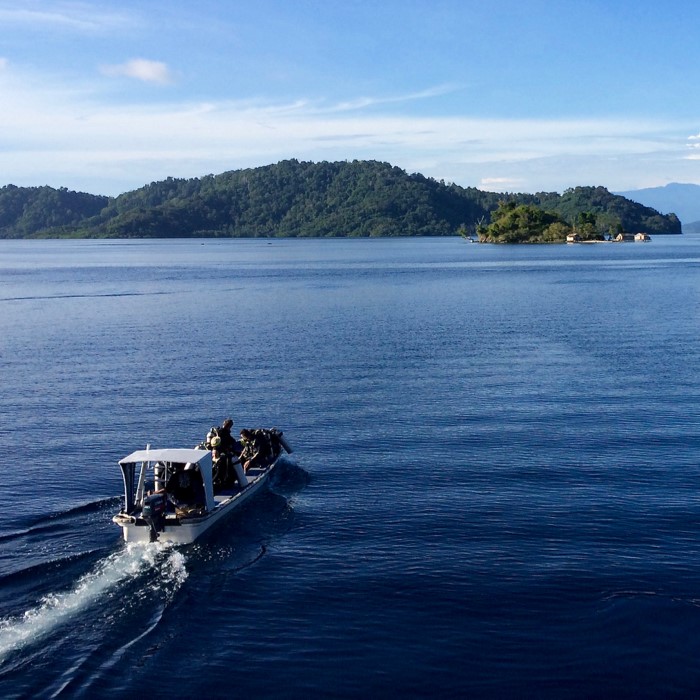 Södra Halmahera liveaboard safari 