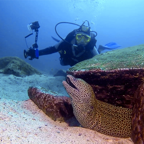 Hallaniyat Oman Liveaboard dykresa