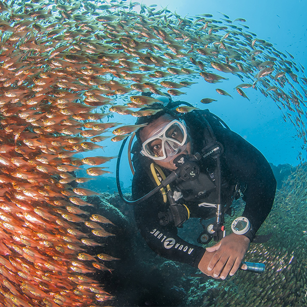 Daymaniyat Oman Liveaboard dykresa