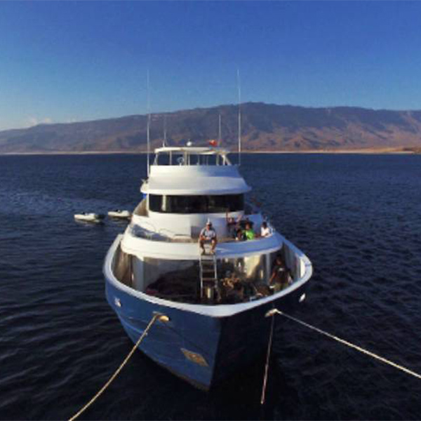 Oman Explorer Liveaboard