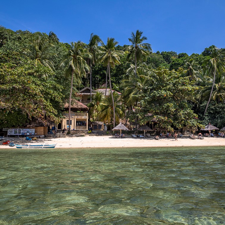 Easy diving Sipalay