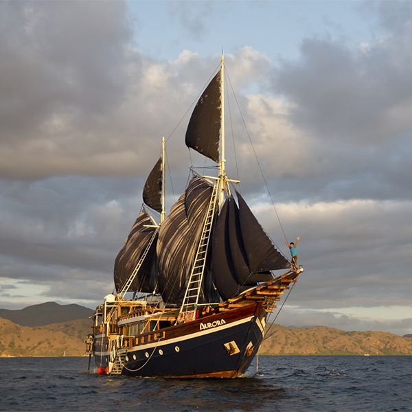 Dune Aurora Liveaboard Komodo, Indonesien