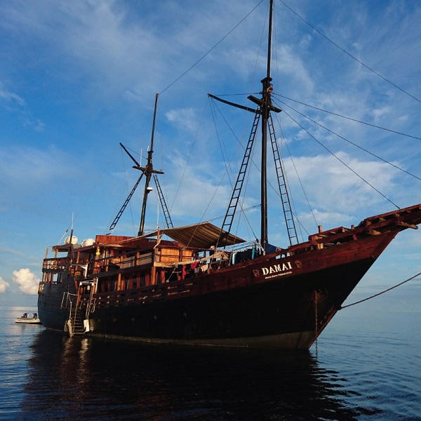 Damai 1 Liveaboard i Indonesien 