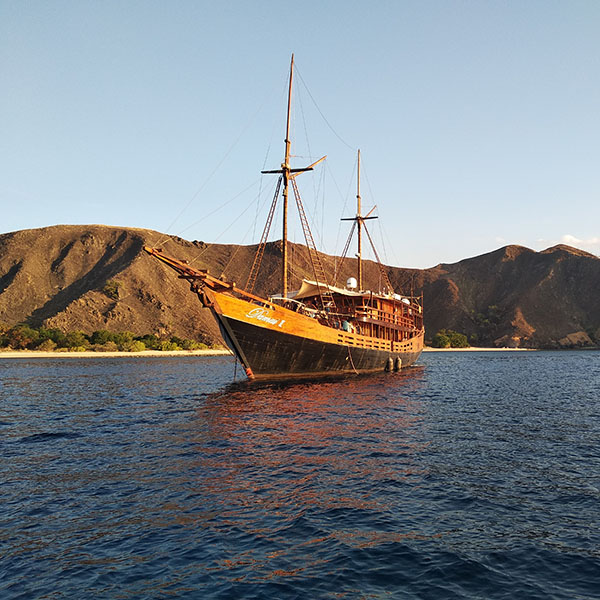 Damai 2 Liveaboard i Indonesien