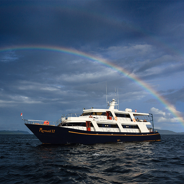 Mermaid II Liveaboard i Indonesien