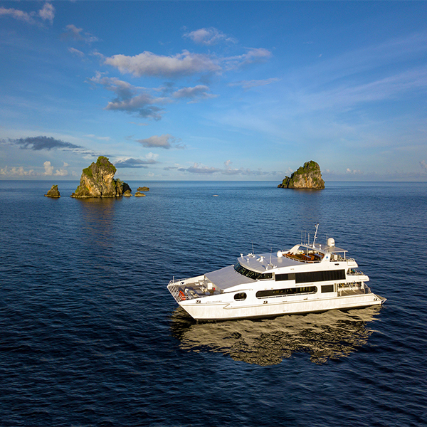 Solitude Adventurer Liveaboard Indonesien