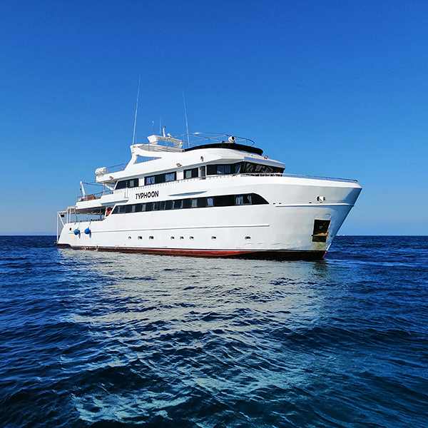 Saudi Explorer liveaboard Saudiarabien