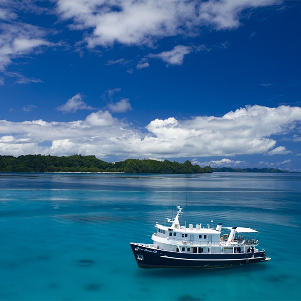 Ocean Hunter Liveaboard Palau