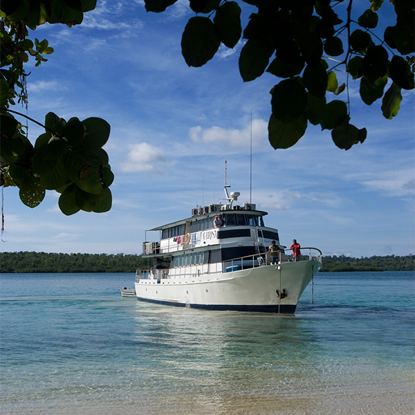 FeBrina liveaboard dykresa PNG, Papua Nya Guinea