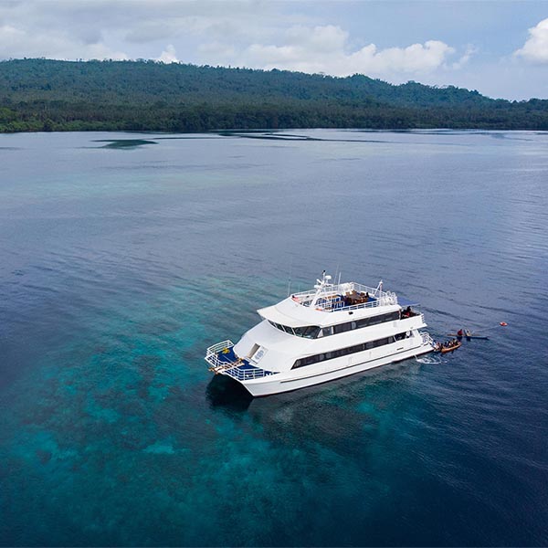 Oceania liveaboard dykresor PNG, Papua Nya Guinea